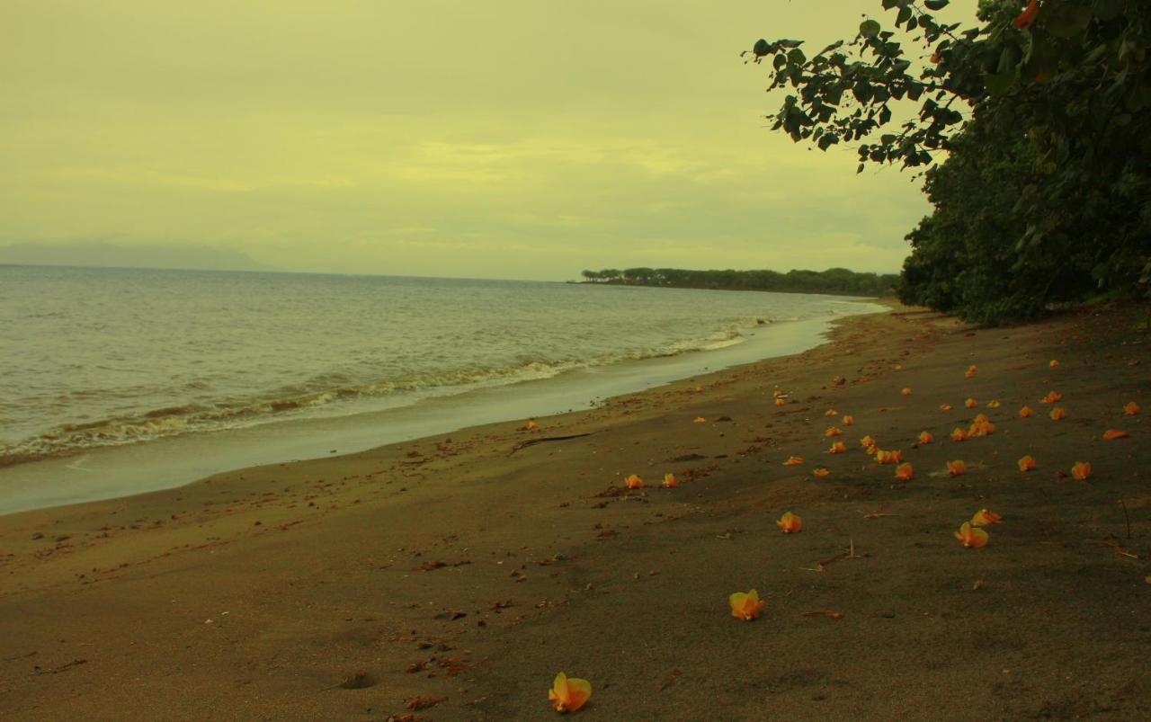 Fx72 Beach Resort Maumere Bagian luar foto